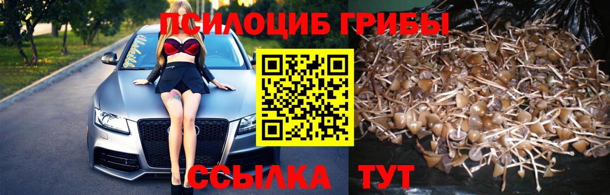 цена наркотик  Псилоцибиновые грибы мухоморы  Псилоцибиновые грибы мицелий  Вход с VPN  Кириши 
